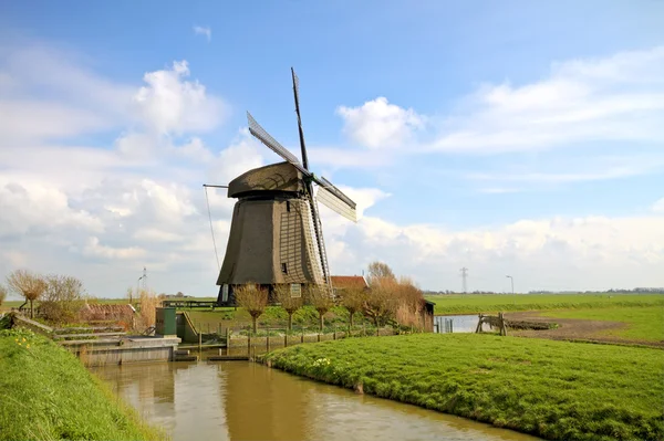 Традиционная ветряная мельница в голландском пейзаже — стоковое фото