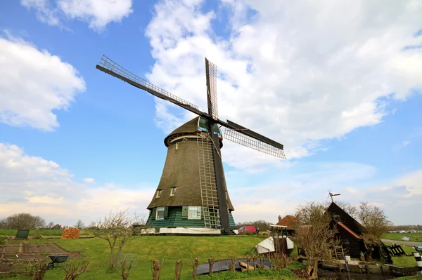 Traditionelle Windmühlen in holländischer Landschaft — Stockfoto