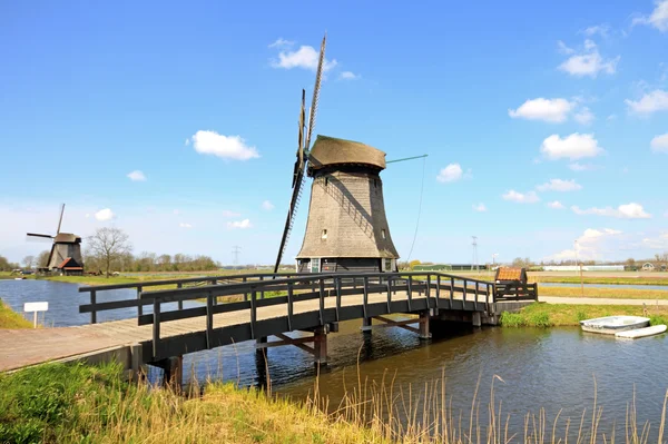 Традиционные ветряки в голландском ландшафте — стоковое фото