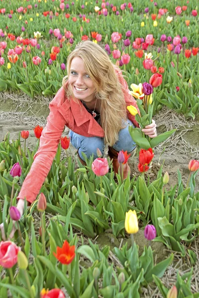 Mujer holandesa entre campos de flores en los Países Bajos — Foto de Stock