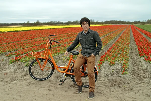 Turista em uma bicicleta laranja nos campos de flores nos Países Baixos — Fotografia de Stock