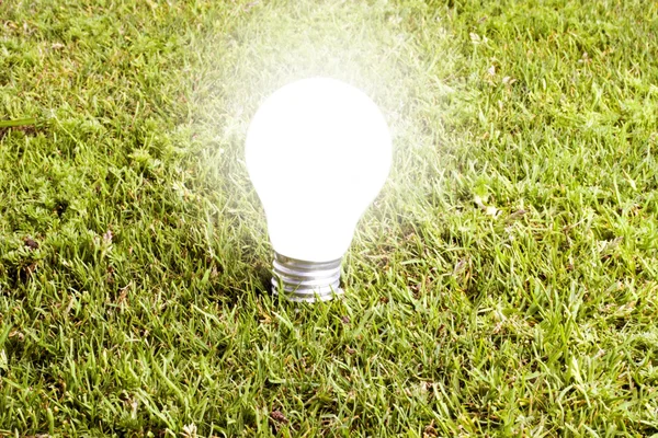 草で賢明な電球 — ストック写真