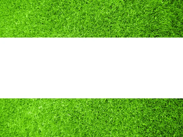 stock image Fresh green grass