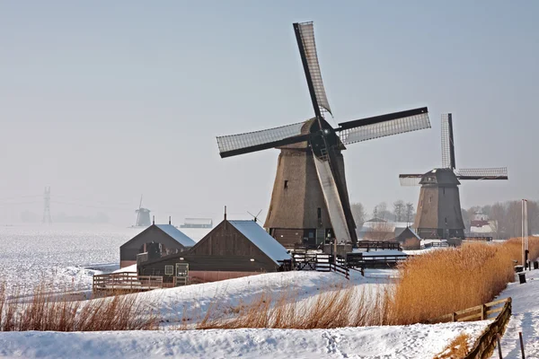 Moinhos de vento traditonais na zona rural dos Países Baixos — Fotografia de Stock