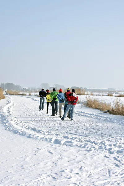 Patinaje sobre hielo en el campo desde los Países Bajos — Foto de Stock