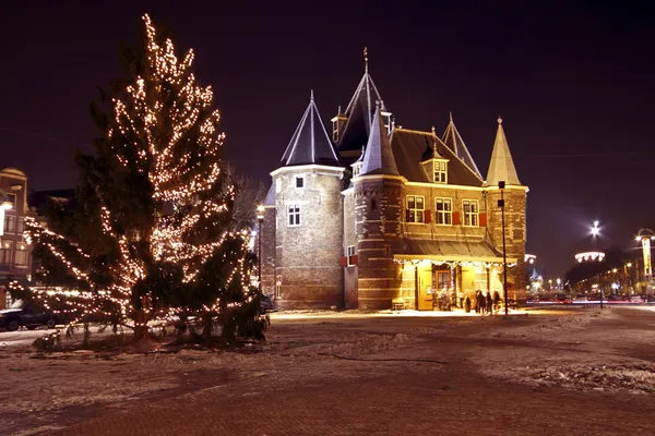 Árbol de Navidad en Dam Palace en Amsterdam los Países Bajos en el crepúsculo — Foto de Stock