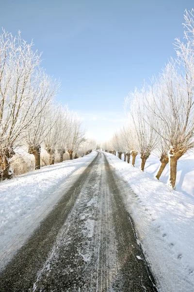 Снежная сельская дорога — стоковое фото