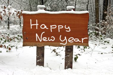 Happy New Year written on a wooden sign in the snowy woods in winter