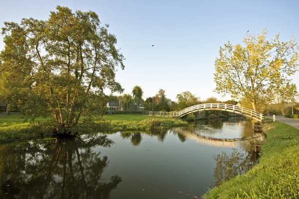 Typowy holenderski krajobraz: przycięte wierzby, kanały i łąki — Zdjęcie stockowe