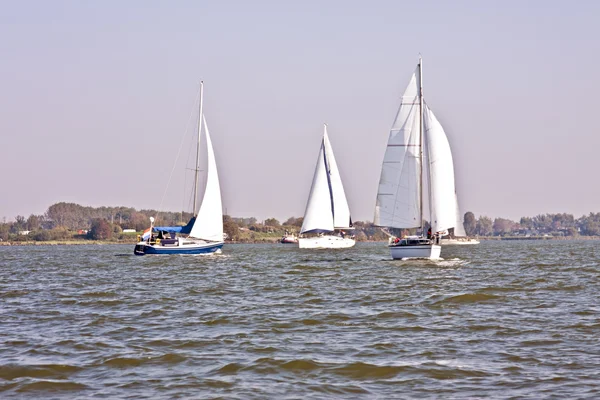 帆船在荷兰 — 图库照片