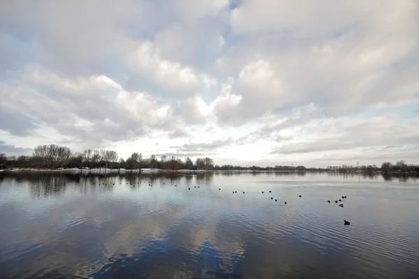 Spokojny kraj jezioro — Zdjęcie stockowe
