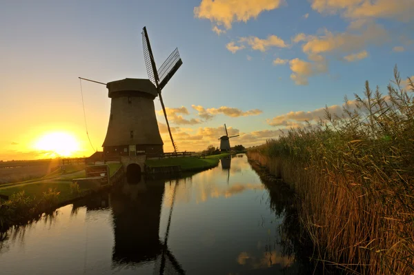 Moulin à vent traditionnel à la campagne des Pays-Bas au crépuscule — Photo