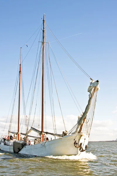 Traditionele zeilboot zeilen op het ijsselmeer in Nederland — Stockfoto