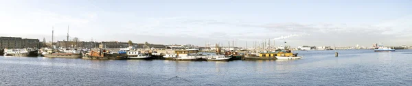 Panorama z portu w amsterdam, Holandia — Zdjęcie stockowe