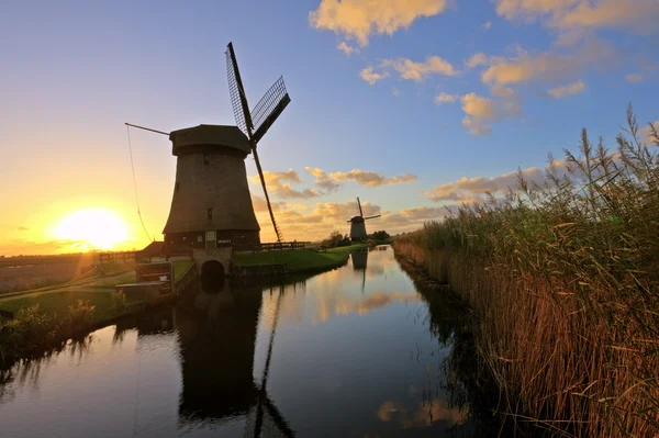 Moinho de vento tradicional na zona rural dos Países Baixos ao entardecer — Fotografia de Stock
