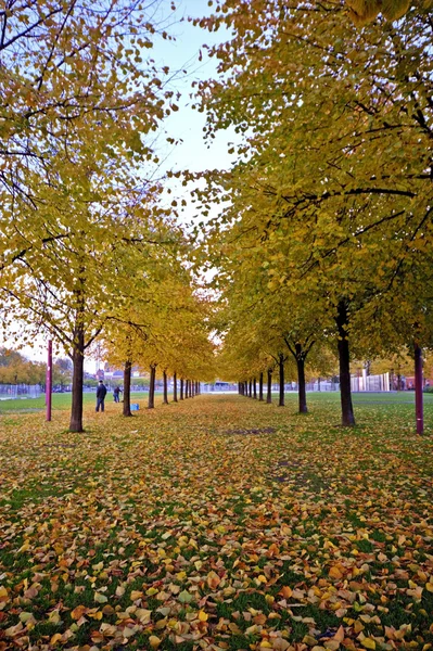 Podzim v Amsterdamu, Nizozemsko — Stock fotografie
