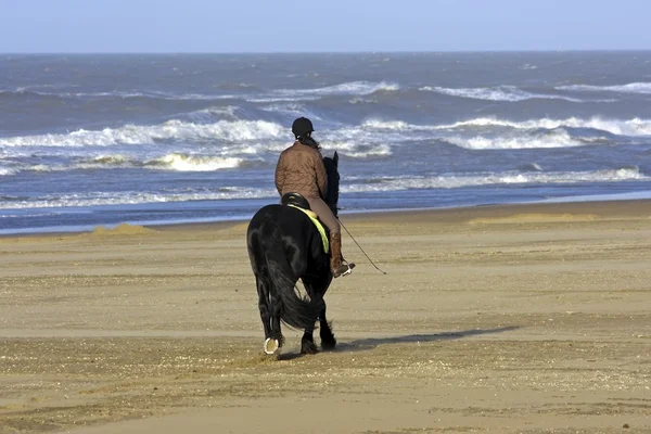 Équitation sur la côte nord de la mer en Hollande — Photo