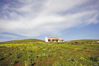 eski Portekizce house bahar mavi gökyüzü karşı çiçekli alanları Portekiz