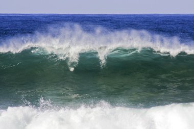 vahşi okyanus dalgası