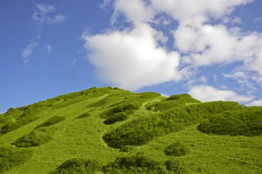 Yeşil bahar hill Portekiz