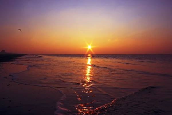 Romantický západ slunce purpurové červená na pobřeží v Nizozemsku — Stock fotografie