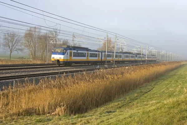 Treno olandese nella campagna dei Paesi Bassi in una giornata nebbiosa invernale — Foto Stock
