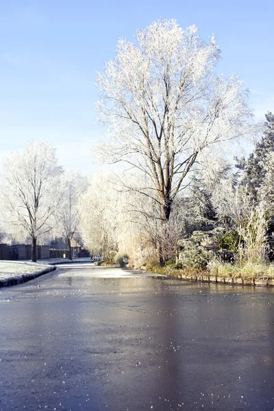 Zima w Holandii — Zdjęcie stockowe