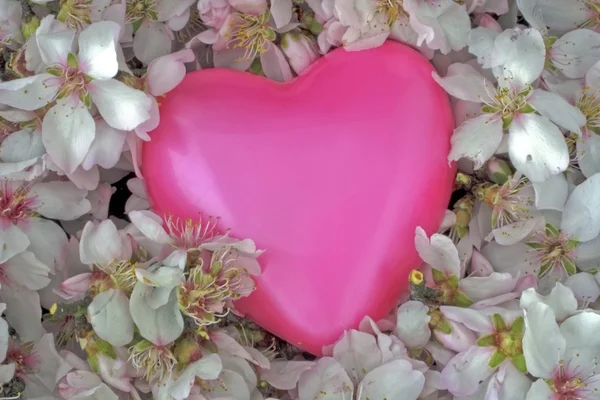 Αγίου Βαλεντίνου αγάπη, γλυκιά καρδιά ροζ σε ένα κρεβάτι λουλουδιών — Φωτογραφία Αρχείου