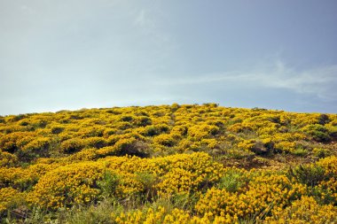 doğa Macaristan