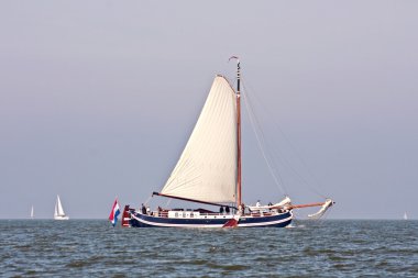 IJsselmeer Hollanda üzerinde yelken yat yelken