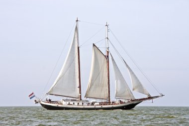 geleneksel Hollanda yelkenli üzerinde IJsselmeer Hollanda