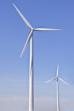 windturbines Hollanda kırsal