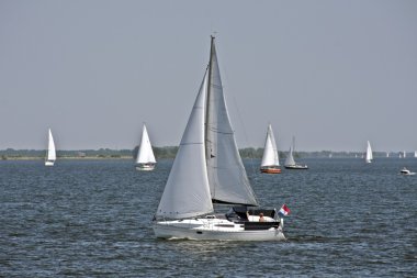 Hollanda haringvliet üzerinde yelken yat yelken