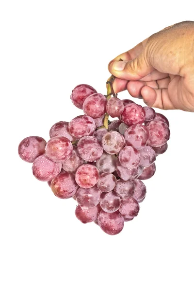 Blue grapes isolated on white — Stock Photo, Image