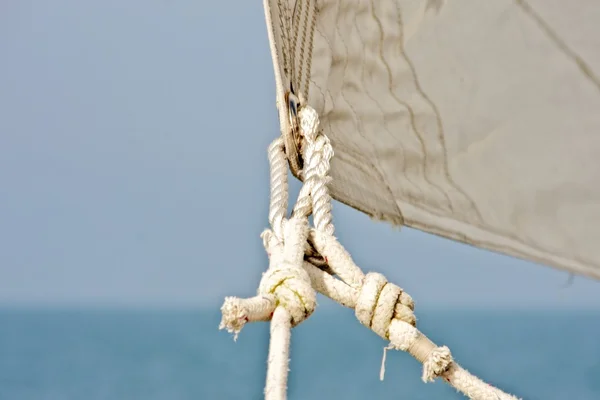 Genua Sail — стоковое фото