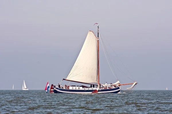 Sail yacht segling på ijsselmeer i Nederländerna — Stockfoto