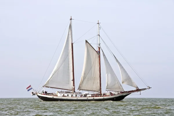 Traditionele Nederlandse zeilboot op het ijsselmeer in Nederland — Stockfoto