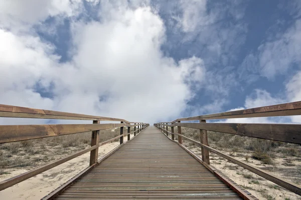 stock image Nature at the north sea coast in the Netherlands