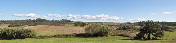 Panoráma a vidéken, a windturbines a hegyen, Portugália — Stock Fotó