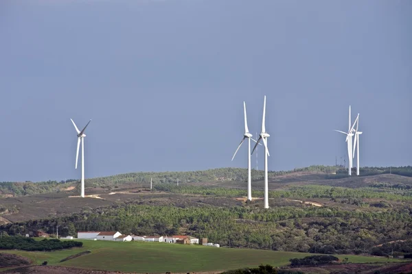 ポルトガルの分野での風車 — ストック写真