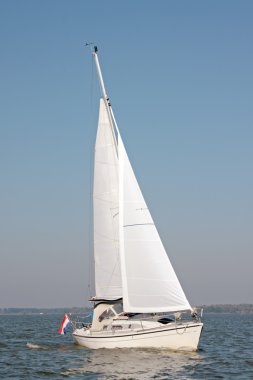 IJsselmeer Hollanda üzerinde yelken yat yelken