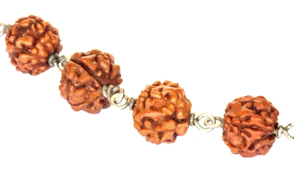 Rudraksha beads — Stock Photo, Image