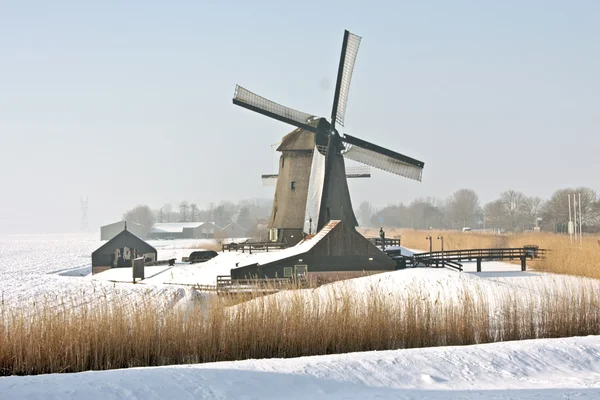 Традиционная ветряная мельница в сельской местности из Нидерландов — стоковое фото