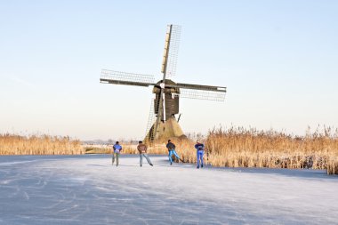 buz pateni Hollanda'da