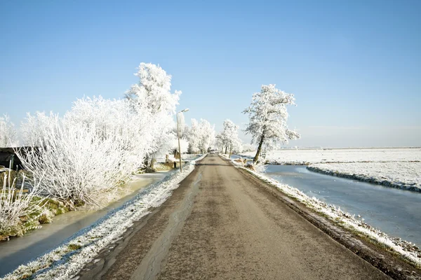 Besneeuwde countryroad, op het platteland van Nederland — Stockfoto