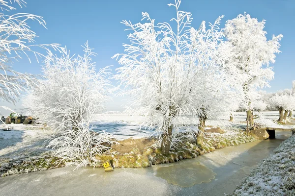 Inverno nei Paesi Bassi — Foto Stock