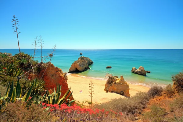 Naturliga stenar vid praia da rocha portugal — Stockfoto