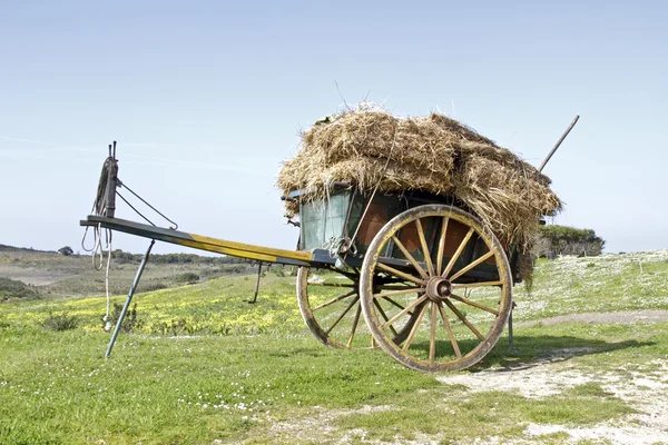 Chariot à l'ancienne à la campagne du Portugal — Photo