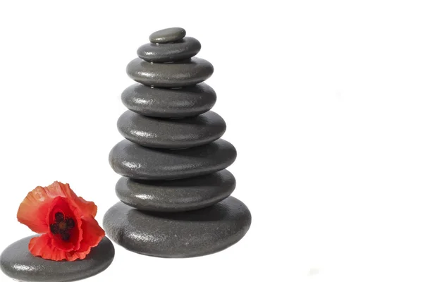 Zen stones with red poppy flower on a white background — Stock Photo, Image