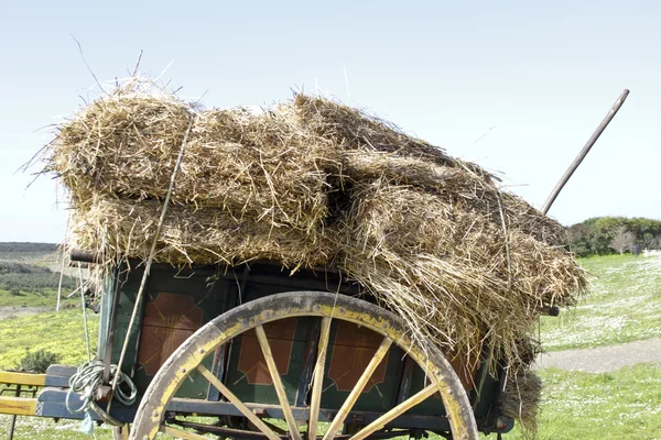Old handcart with hay bales in the countryside — Stock Photo, Image